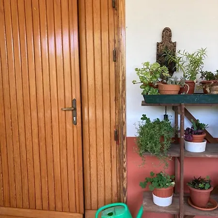 Luna Holiday home